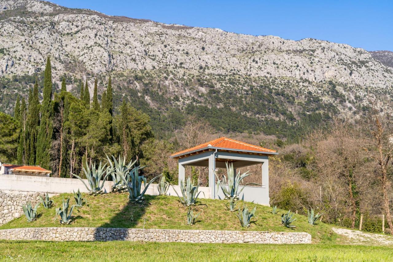 Villa Agave Gruda المظهر الخارجي الصورة