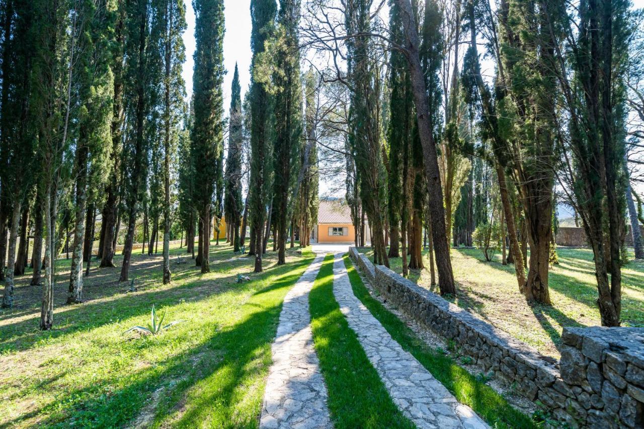 Villa Agave Gruda المظهر الخارجي الصورة